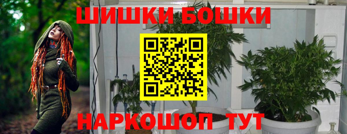 Бошки Шишки планчик Кыштым